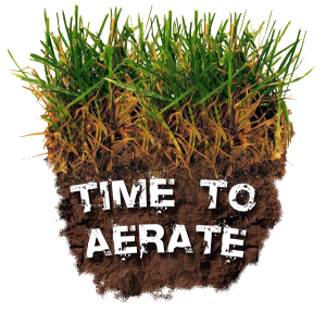 Spring landscaping job: Time to Aerate Your Lawn