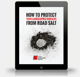 bulk salt eBook