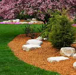 landscaping Mulch mississauga
