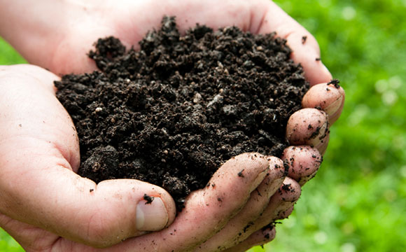 Top-soil 
