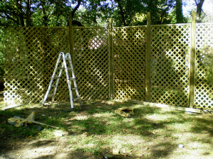 lattices in the backyard