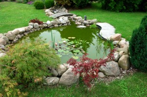 private pond water feature