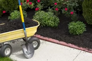 Add mulch once you've pulled out the weeds