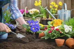 Plant more flowers to prevent weeds from growing