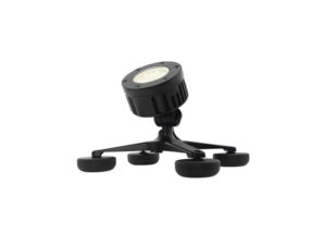 Outdoor Spotlights for your Garden in Mississauga
