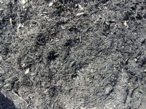 Black Mulch for your Garden in Mississauga
