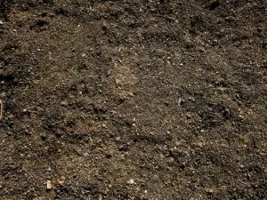 Top Soil delivery for your Garden in Mississauga