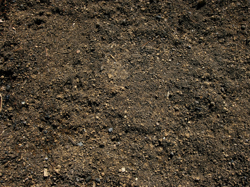 Top Soil delivery for your Garden in Mississauga
