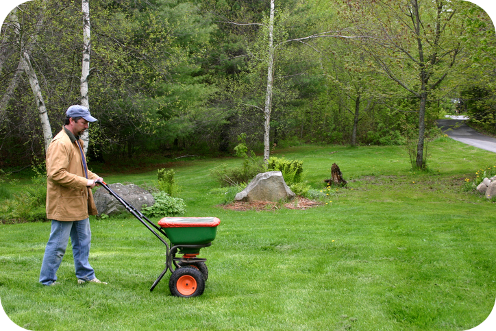 Fall lawn care fertilizer