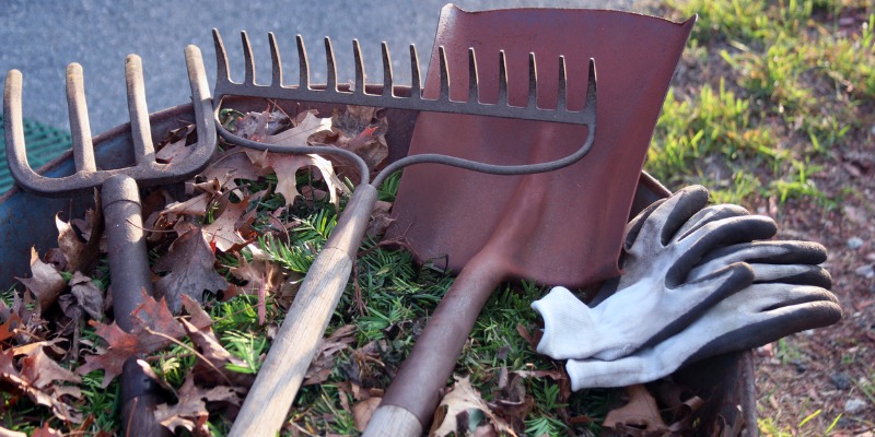 landscaping tools on yard